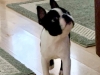 Benny2