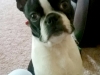 Benny4