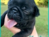 Charley2