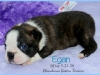 Egan3