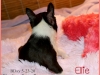 Ellie-8w3