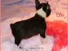 Ellie-8w6