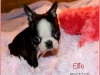 Ellie-8w7