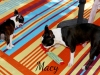 Macy2