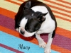 Macy3