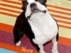 Macy4