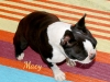 Macy5