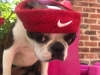 Rosie5